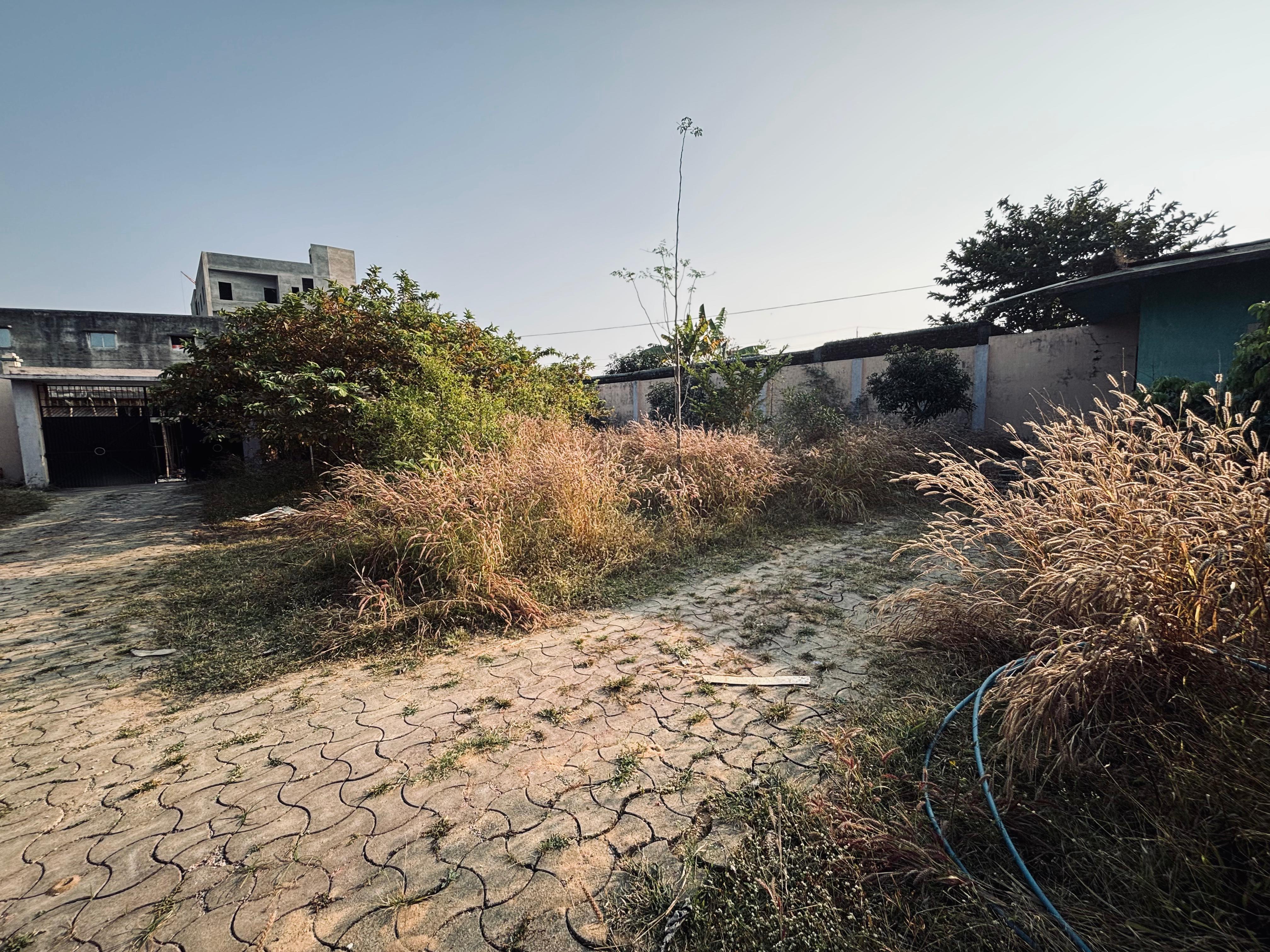 Open space , tilta chowk