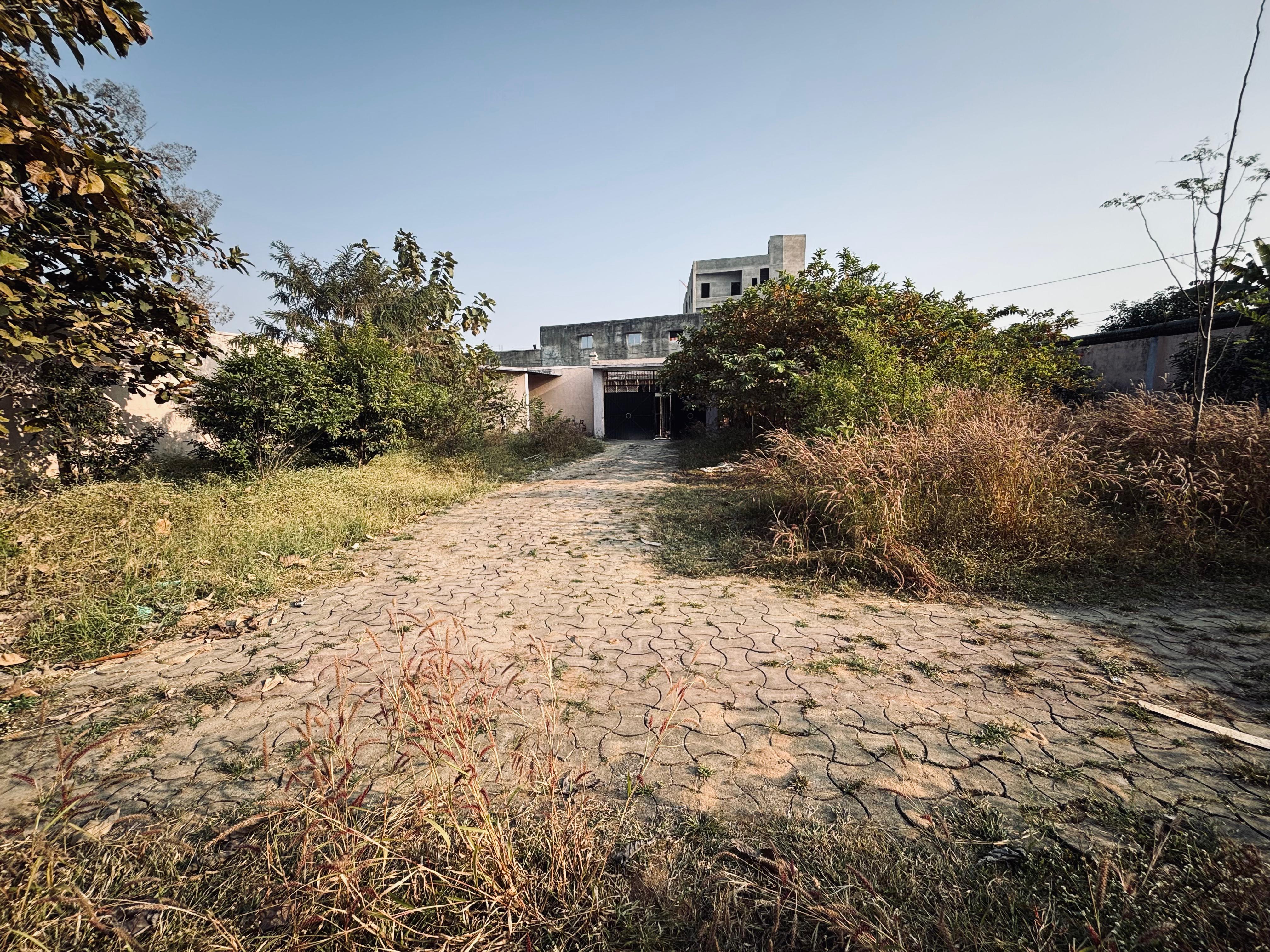 Open space , tilta chowk